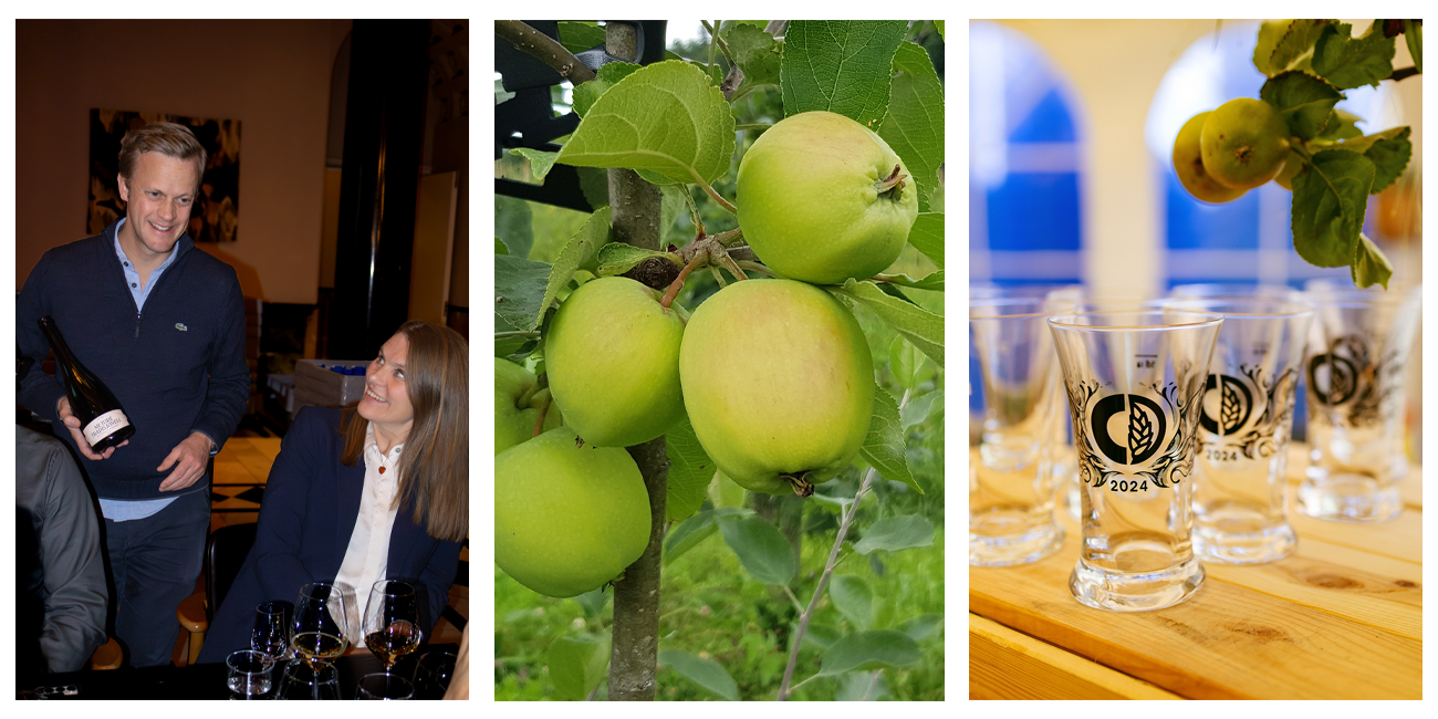 Siderfestivalen 2026: Ny festival i Trondheim