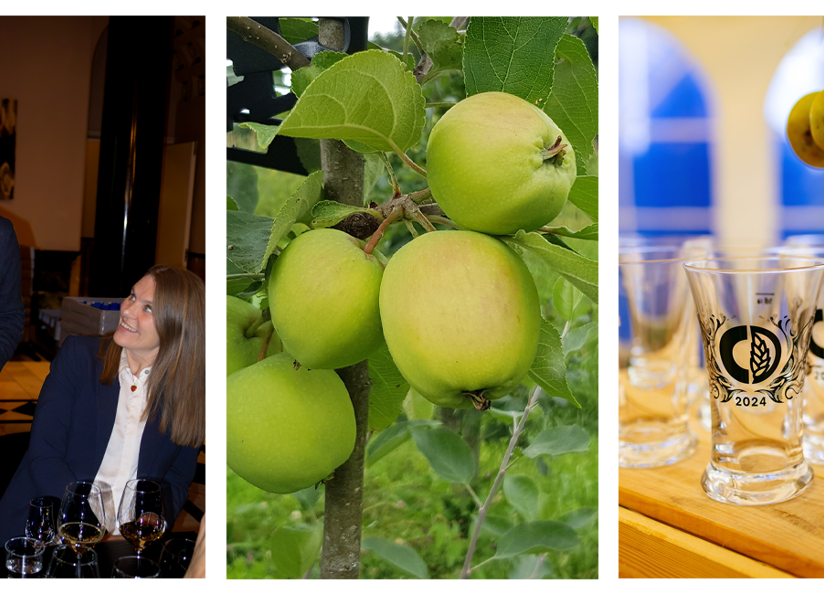 Siderfestival Sammensatte Bilder