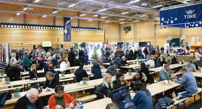 53302071026 Cf6d17b96b C