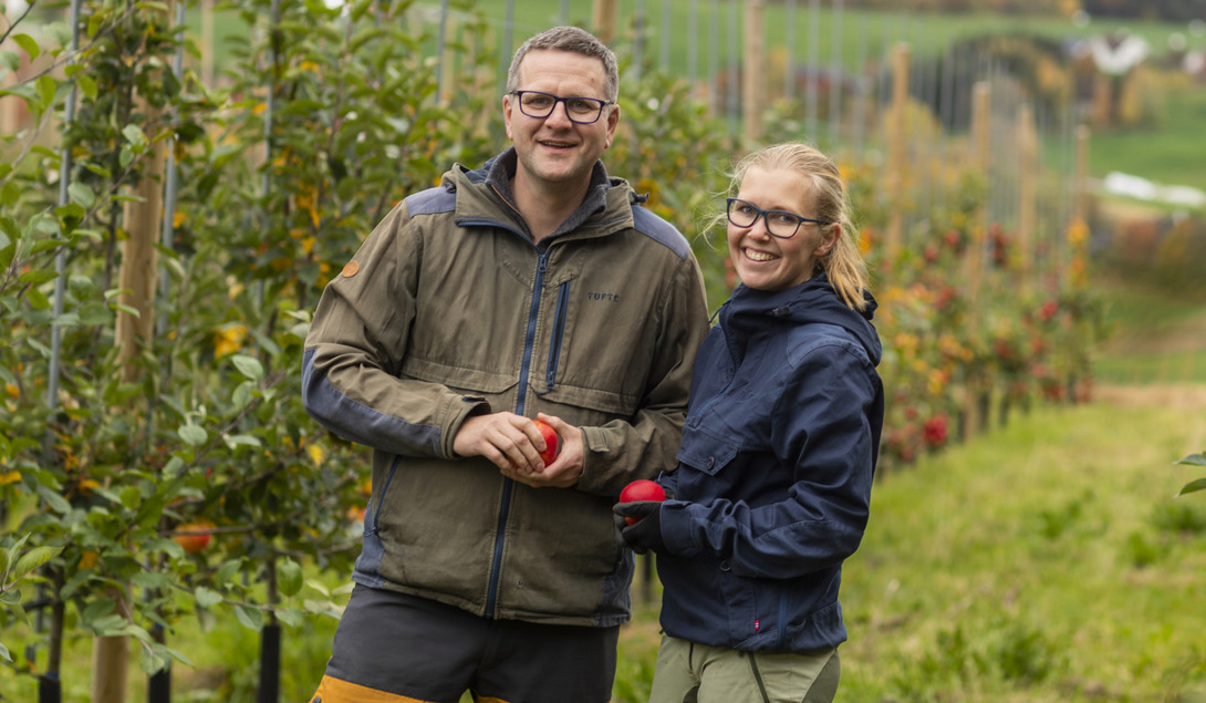 flasker med eplemost