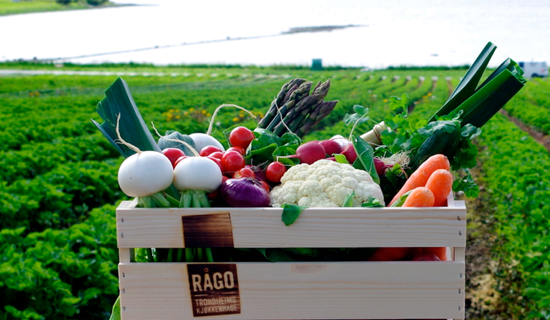 Grønnsaker fra Rågo