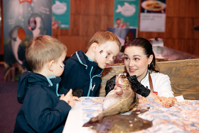 Barnas Sjømatfestival