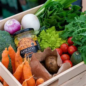 300 300 False False 1 85 Fileshare Filarkivroot Matfestivalen Grønnsakskasse TM Jpg